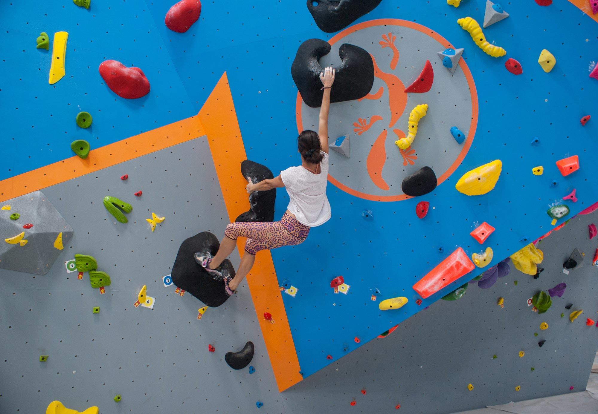 DSC05065_sj_2 Sydney Indoor Climbing Villawood Sydney Indoor